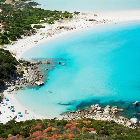 Two-room In A Complex With Communal Pool In Sardinia